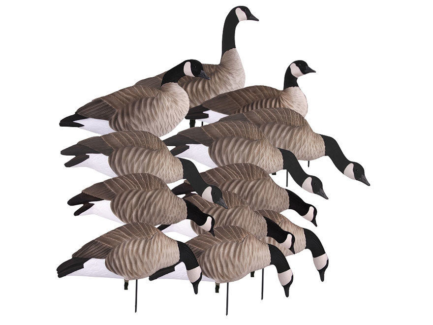 Avery Ghg Newbold Lesser Harvester Full Body Canada Goose Decoy 12pk 72323 Dunns Sporting Goods