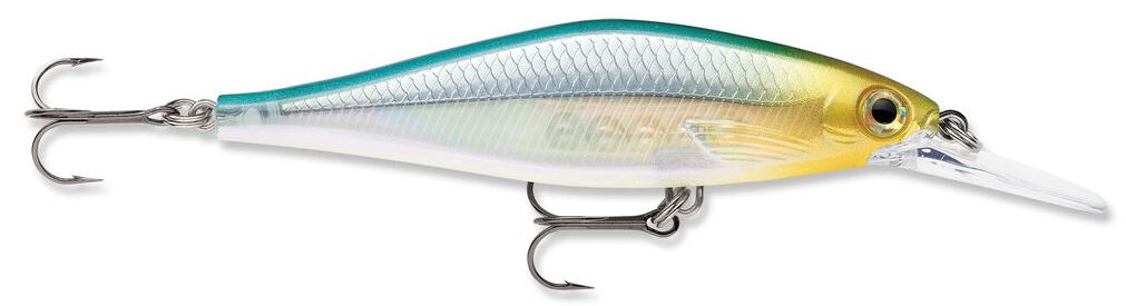 sdrsd09bluebackherring
