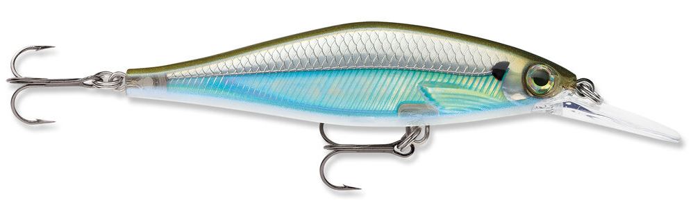 sdrsd09mossbackshiner