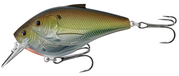 LiveTarget Magnum Shad Baitball Squarebill Crankbait