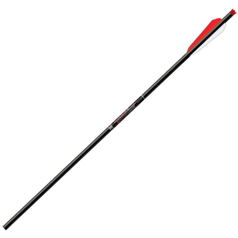 Easton Bloodline 20