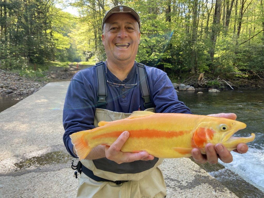 22" West Virginia Golden Rainbow trout Dunns Sporting Goods