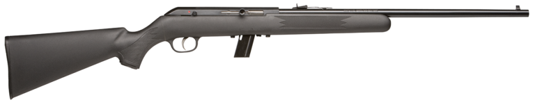 Savage Model 64 F .22LR 21