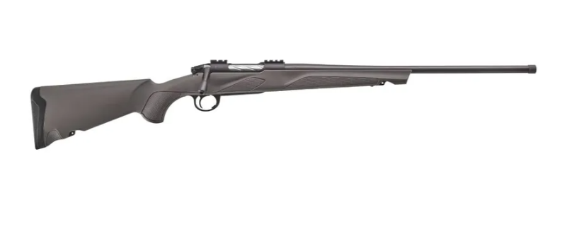 Franchi Momentum 450 Bushmaster 22" Barrel Gray stock ($399.99 After Rebate)